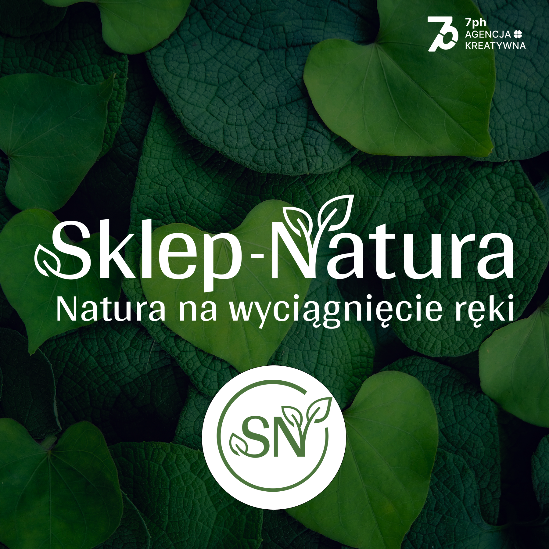 Read more about the article Logo Sklep Natura