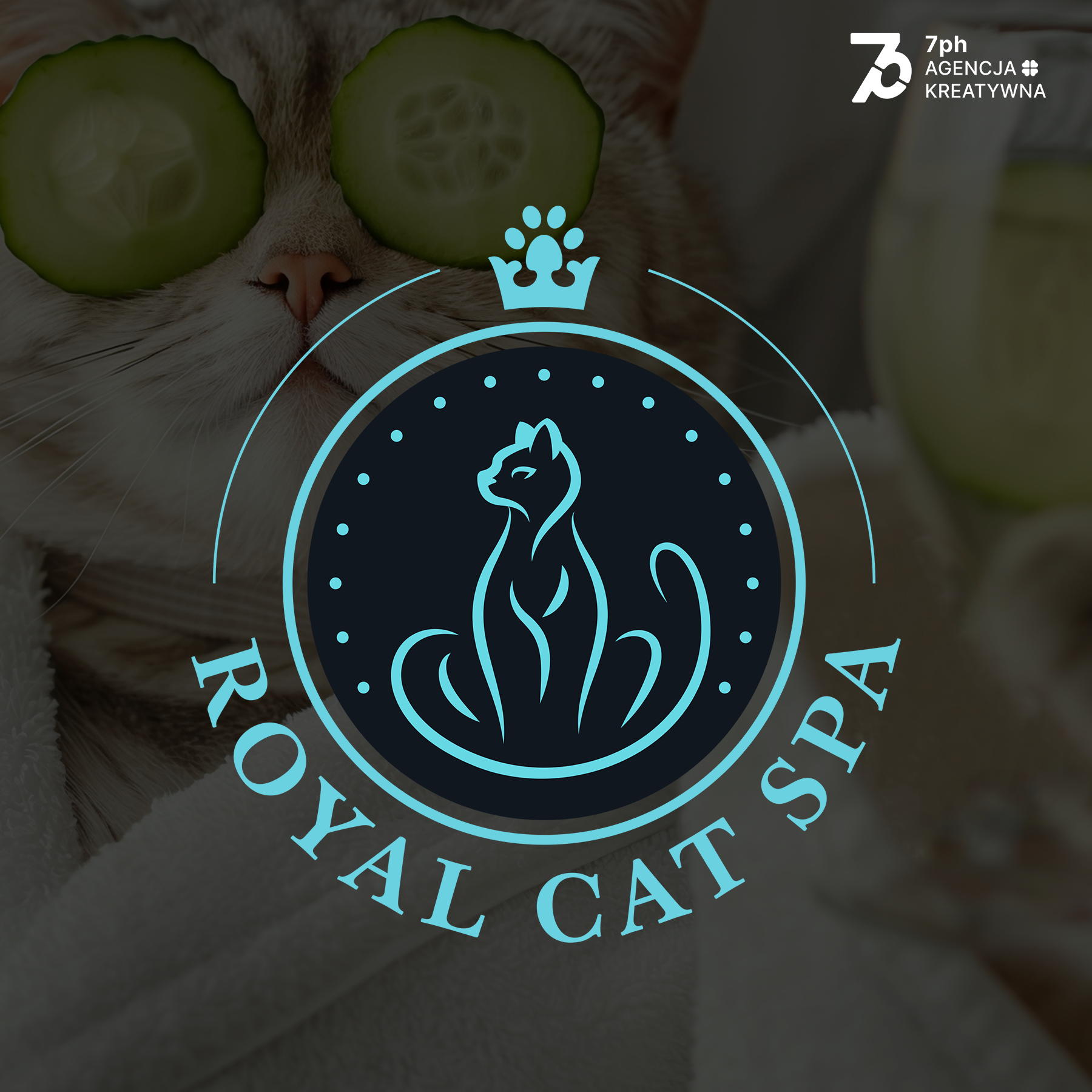Read more about the article Logo Royal Cat Spa